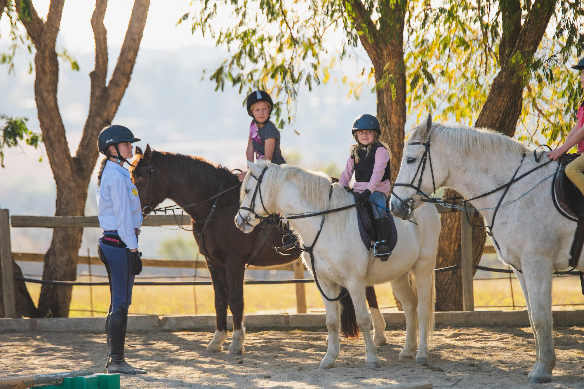 Sun Valley Stables Horse Riding Stables in Johannesburg