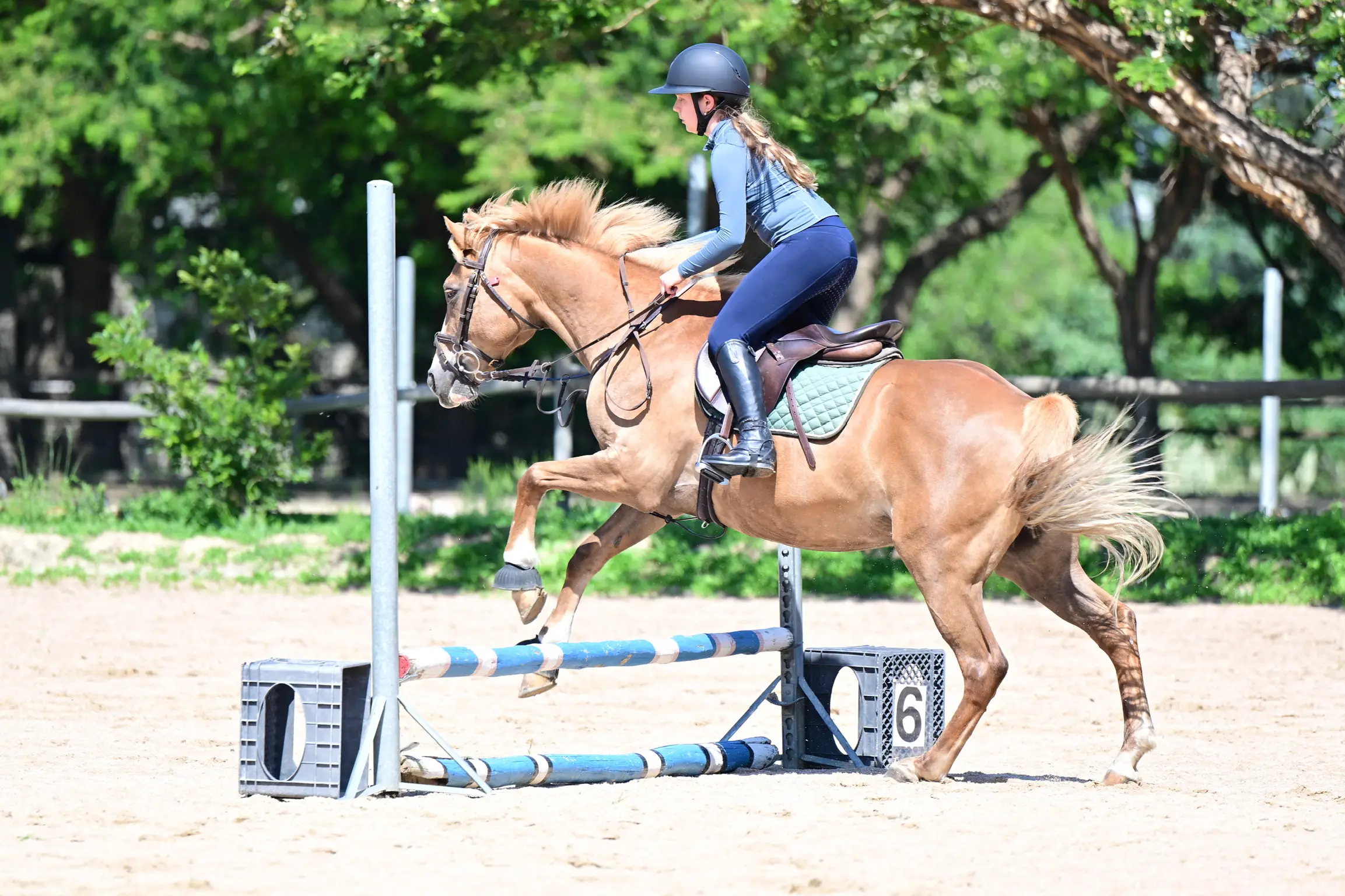Rider jumping a horse at Sun Valley Stables competition arena, Kyalami